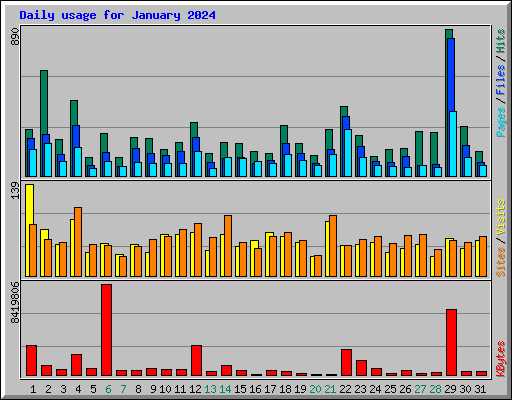 Daily usage for January 2024