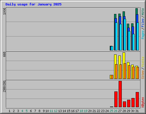 Daily usage for January 2025