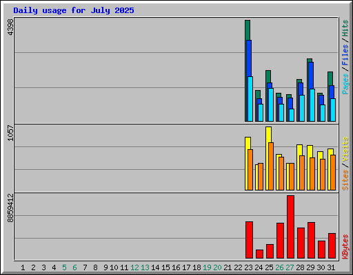 Daily usage for July 2025