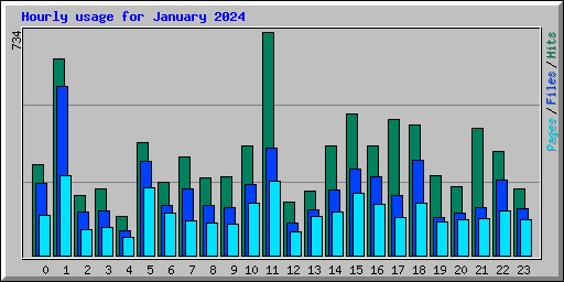Hourly usage for January 2024