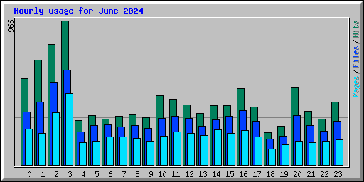 Hourly usage for June 2024