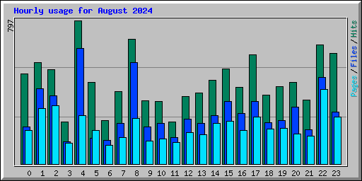 Hourly usage for August 2024
