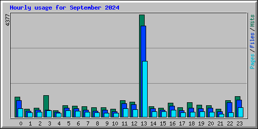Hourly usage for September 2024
