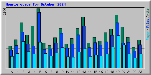 Hourly usage for October 2024