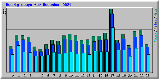 Hourly usage for December 2024