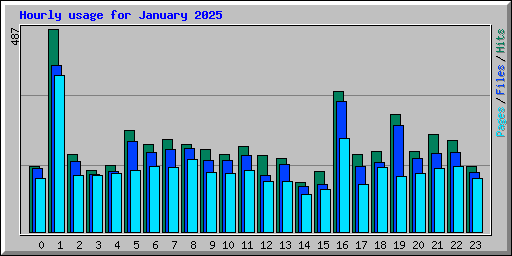 Hourly usage for January 2025