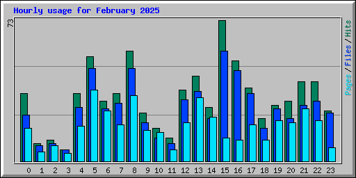 Hourly usage for February 2025