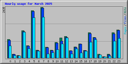 Hourly usage for March 2025