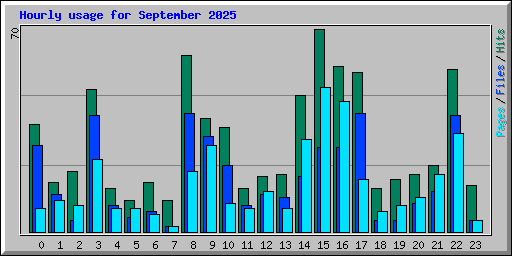 Hourly usage for September 2025