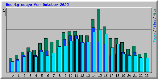 Hourly usage for October 2025