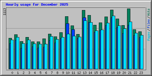 Hourly usage for December 2025