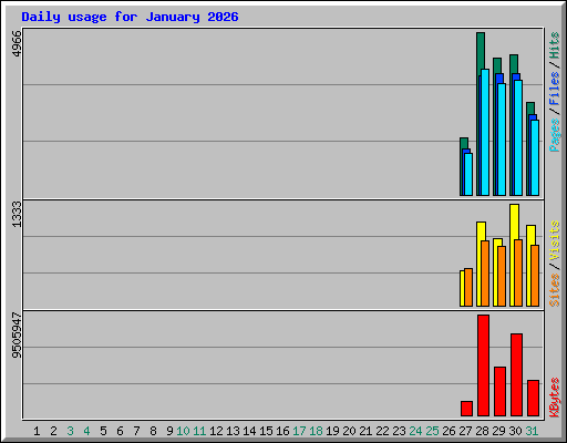 Daily usage for January 2026