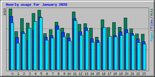 Hourly usage for January 2026