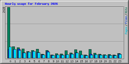 Hourly usage for February 2026