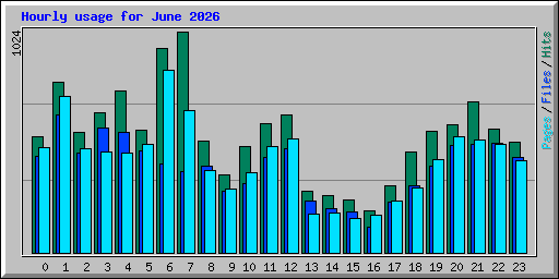 Hourly usage for June 2026