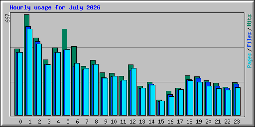 Hourly usage for July 2026